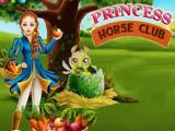 Gioco Club equestre della principessa  on-line