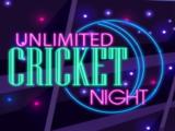 Gioco Notte di cricket illimitata  on-line