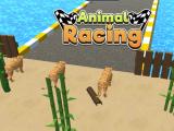 Gioco Racing per animali  on-line