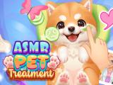 Gioco Trattamento ASMR per animali domestici  on-line