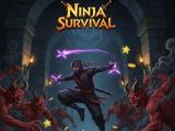 Gioco Sopravvivenza ninja  on-line
