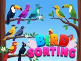 Gioco Ordinamento degli uccelli  on-line