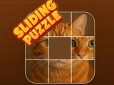 Gioco Puzzle scorrevole  on-line