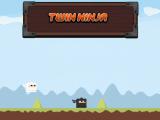 Gioco Ninja gemello  on-line