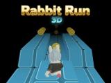 Gioco Coniglio corre in 3D  on-line