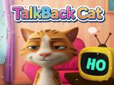 Gioco Gatto TalkBack  on-line