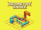 Game Serpent de géométrie  en ligne