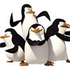 Pelit Madagaskarin pingviinit 
